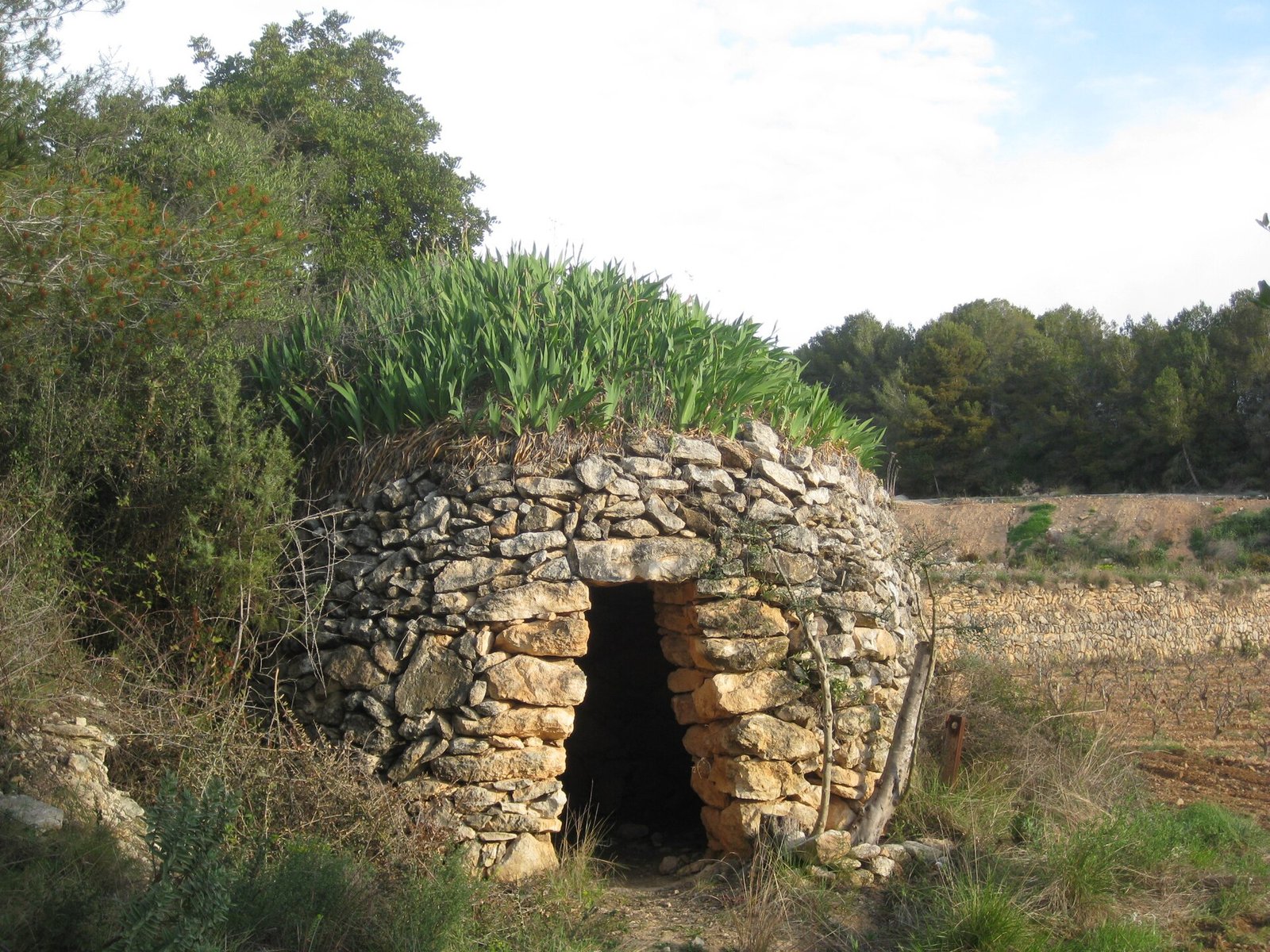 Barraca de vinya entre Ribes i el Garraf