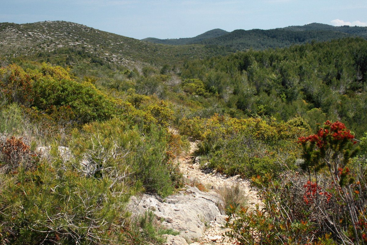 Muntanyes del Parc Natural del Garraf