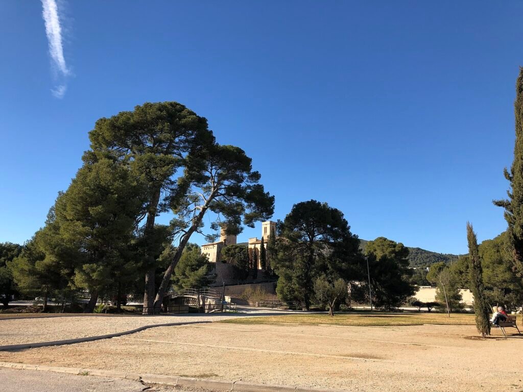 Pino centenario y castillo de Ribes junto al pont de la Palanca