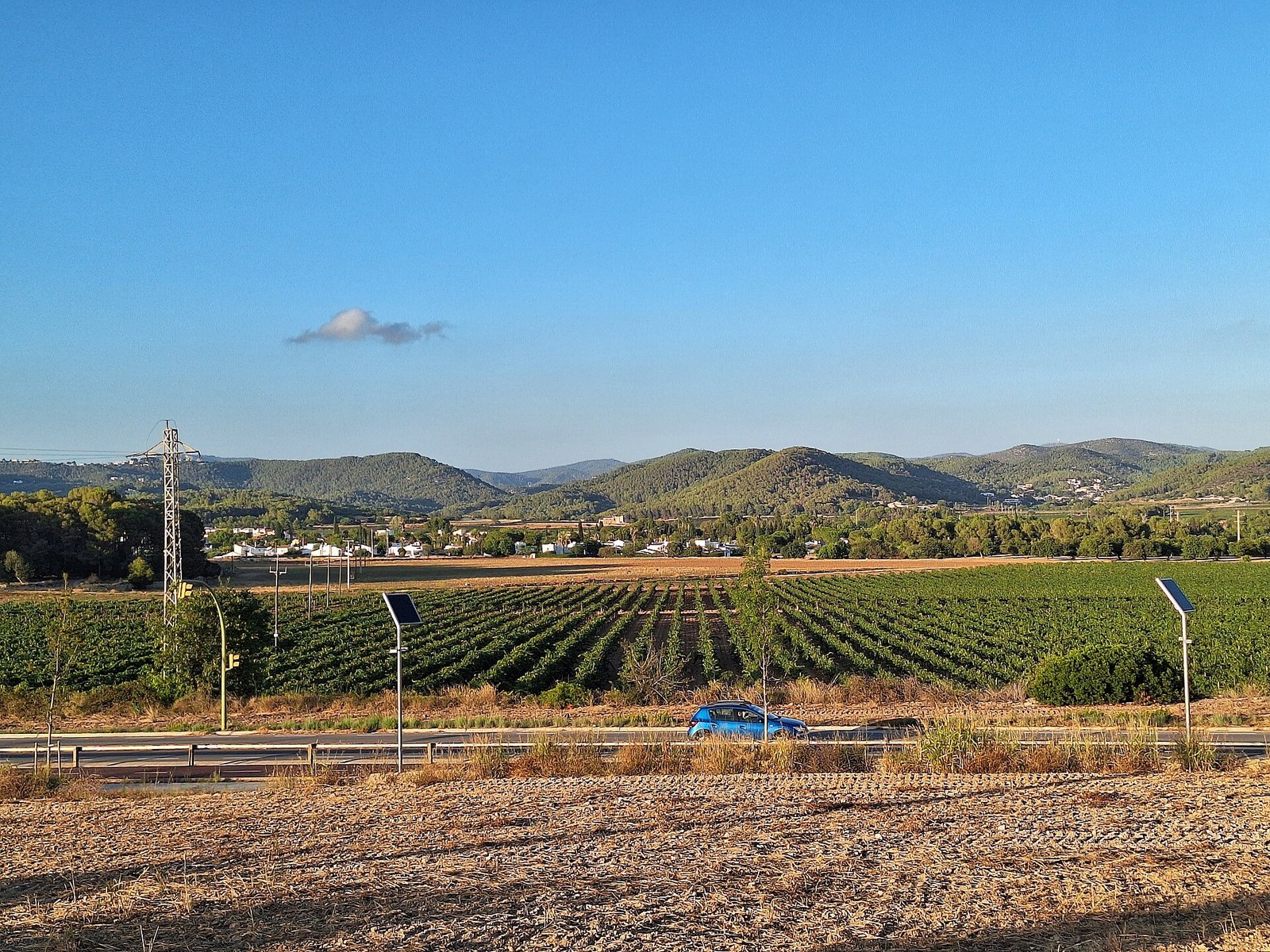 Viñas entre Ribes y Canyelles